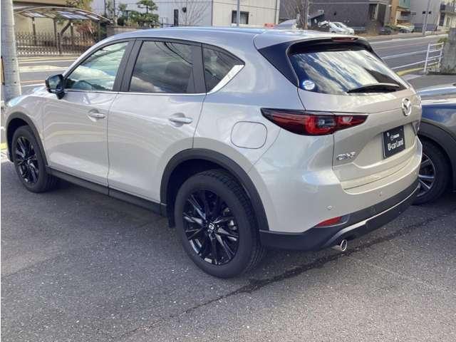 �����I�ȃe�[�����C�g���ł��I