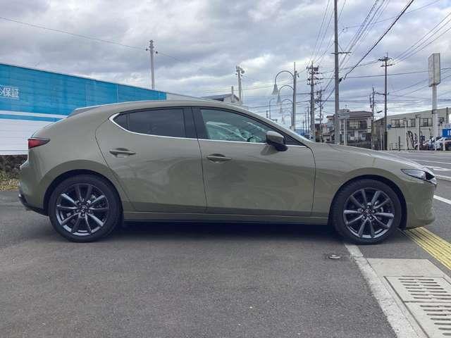 �E�T�C�h�r���[