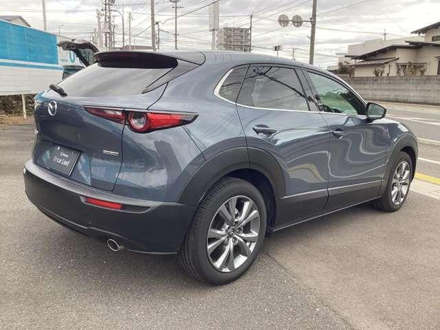 ���A�̃f�U�C���͂r�t�u�炵���͋����f�U�C���ɂȂ��Ă���܂��B