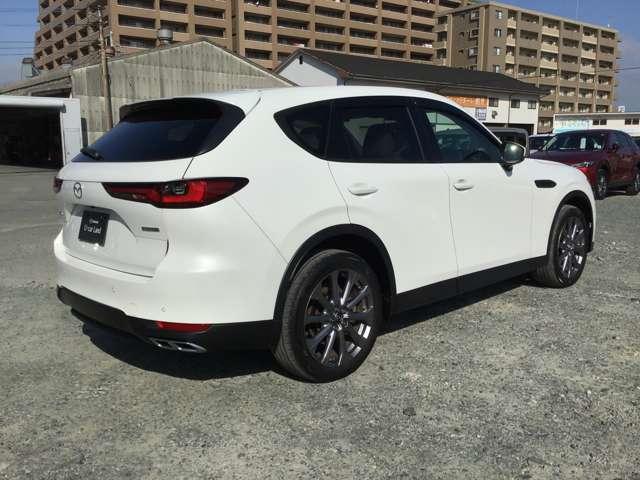 �΂ߌ�납��̃X�^�C���ł�