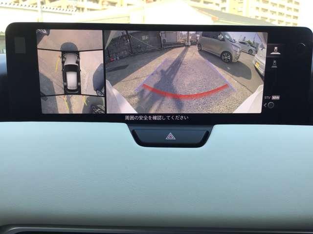 �S���ʃ��j�^�[�t���ł��B�Ԍɓ��꒓�Ԃ����S�ł��ˁ�