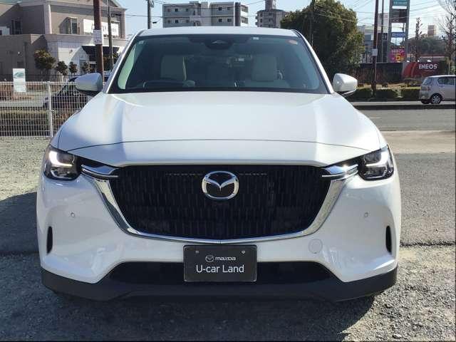 ���n���O�̐�����p���݂ł��̂ł����S����������