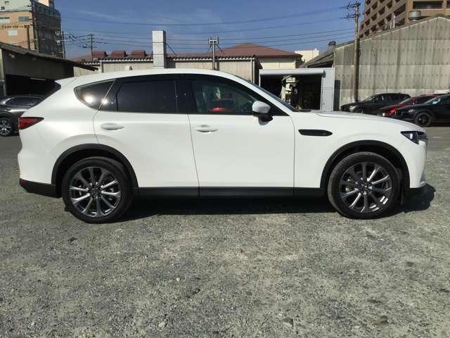 ���݊��̂���t�����g�t�F�C�X�B����p�x�ŕ\�����ۂ��ς��������͂ł��B