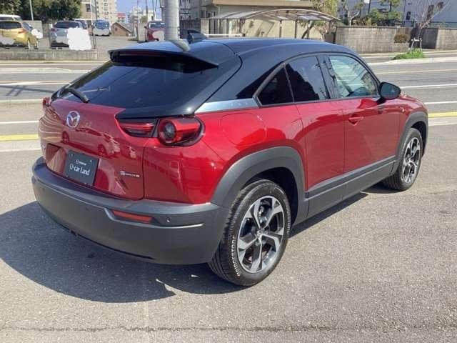 �΂ߌ�납��̃X�^�C���ł�