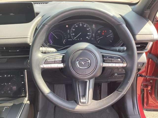 �傫���J���h�A�̃��C�A�E�g�ł��B