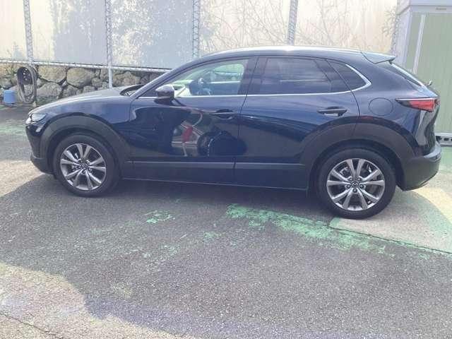 �p���[���t�g�Q�[�g�t���ł��B