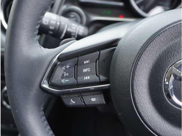 ＣＸ－３ １５Ｓ　ツーリング　ＬＥＤライト　ＵＳＢ　バックモニター　ｉ－ｓｔｏｐ　コーナーセンサー　スマートキー　オートエアコン　盗難防止装置　横滑り防止　サイドエアバッグ　エアバッグ　キーレス　ＰＳ（34枚目）