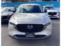 ¸�ߴ��Τ���ե���ȥե�������������٤�ɽ�����ݤ��Ѥ�������̥�ϤǤ��� 2