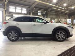 �����ɥӥ塼�Ǥ����Բ��ɣӣգ���ͭ��ή��ʥե����ˤʤäƤ��ꡢ���ʤ����Ф��Ƥ��ޤ��� 4