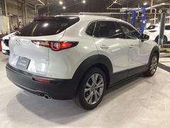 ��¥������˸¤ޤǻͶ������֤���Ƨ��ĥ�괶�Τ����϶��������󥹡��⤤���֤˥쥤�����Ȥ����ꥢ����ӥ͡��������פ����������ꥢ������ɡ�������������Ȥ����ꥢ�Х�ѡ��������ե������϶������Ͻ� 5