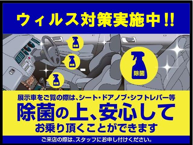 HYBRID G デュアルセンサーブレーキサポート/サポカー(28枚目)