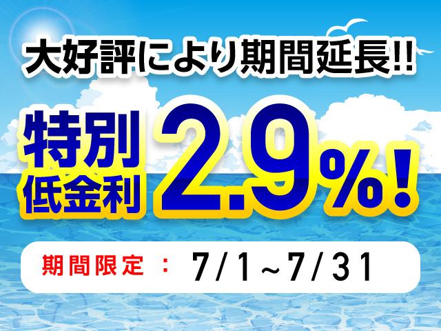 ロングDX 1年間1万キロ無償保証 1型 メモリーナビ(2枚目)