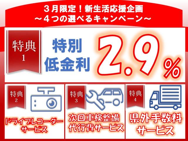 DX 1年間1万キロ無償保証 ハイルーフ キーレス 両側スライド Wタイヤ PW(3枚目)