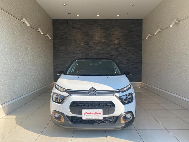 C3 Cシリーズ 特別仕様車 限定80台 アップルカープレイ(11枚目)