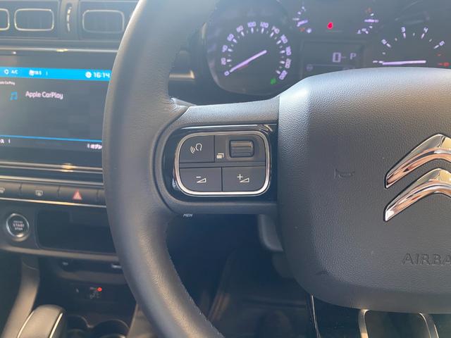 C3 Cシリーズ 特別仕様車 限定80台 アップルカープレイ(24枚目)