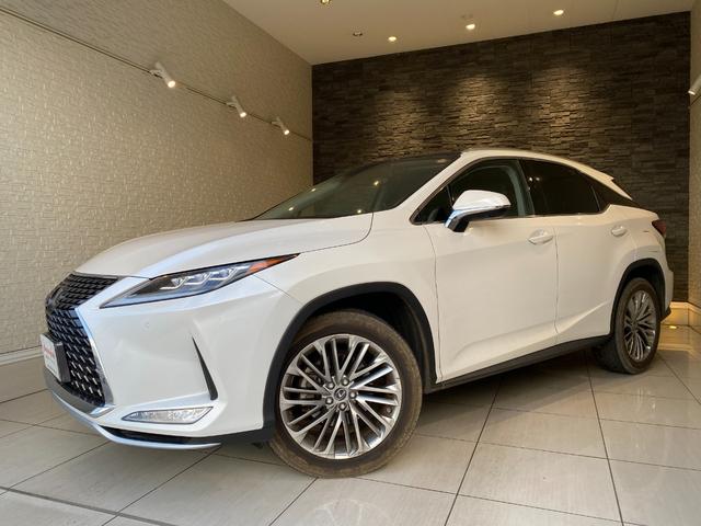 ���ÎԂɈ��S���v���X���邽�߂ɏo���邱�Ƃ�ǋ����Ă���܂��B