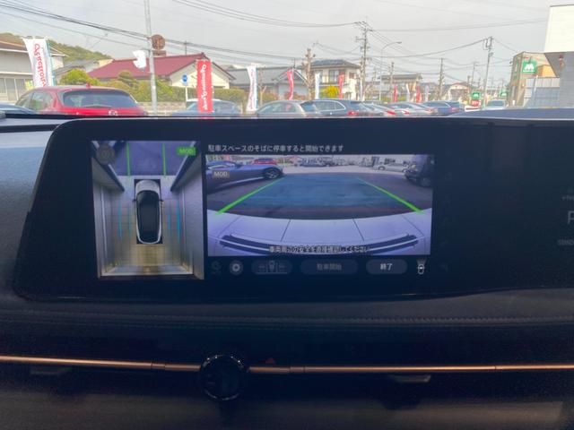 ���Ɛ����m�풓�œ_�������v���܂��A�A���Ԃ����L����舵���Ă���܂��B