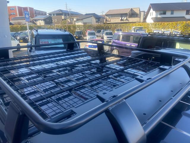 �f�h�M�A�[���[�t���b�N