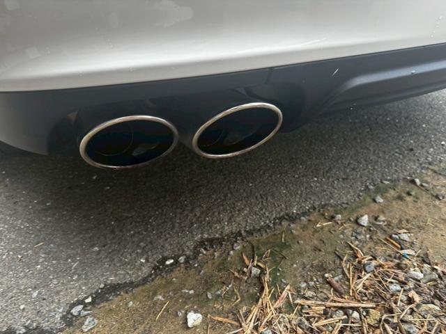 ギブリ Ｓ（31枚目）