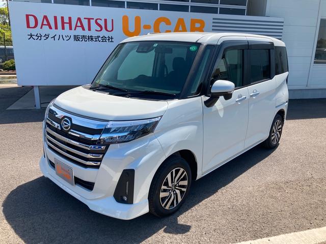 カスタムG 両側パワースライドドア バックカメラ(6枚目)