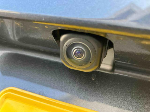 スタッフは、マスク着用にて接客応対させて頂きます。