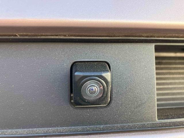 �Q�D�u����_�������v�͈��S���Ă���蒸���ׂɁA���[�Ԃ܂łɖ@��P�Q�J���_�������̓_�����s���܂��B