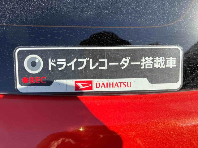 ���q�l�̃J�[���C�t�ɂ��������Ԃ𐔑�����葵���Ă���܂��B