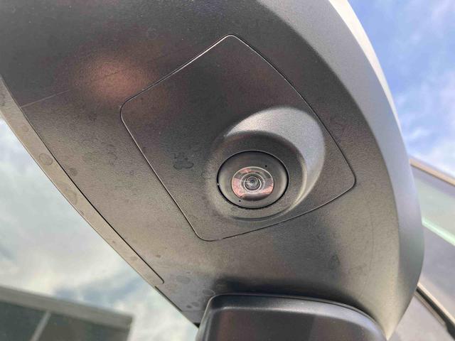 �Q�D�u����_�������v�͈��S���Ă���蒸���ׂɁA���[�Ԃ܂łɖ@��P�Q�J���_�������̓_�����s���܂��B