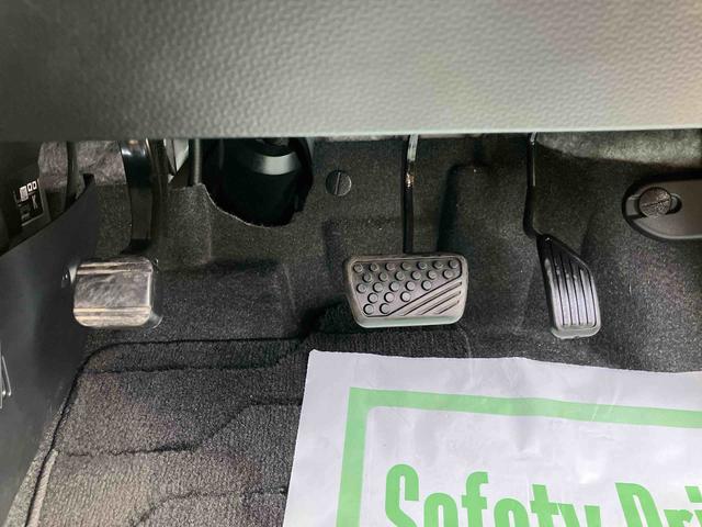 �y���j���c�Ƃ��Ă���܂��B���Ƒ�������Ă��z�����������B