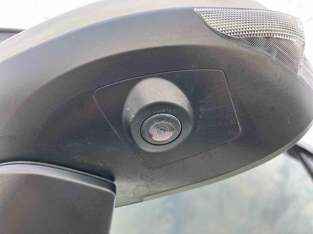 �Q�D�u����_�������v�͈��S���Ă���蒸���ׂɁA���[�Ԃ܂łɖ@��P�Q�J���_�������̓_�����s���܂��B