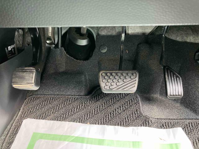 �y���j���c�Ƃ��Ă���܂��B���Ƒ�������Ă��z�����������B