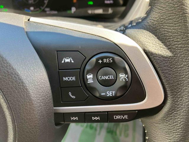 �啪�_�C�n�c�ł͑啪�����E�ߌ��ɂ��Z�܂��̕��ŁA���В��c�̂P�Q�X�܂ɂČ��Ԃ����m�F��������֔̔������Ē����Ă���܂��B