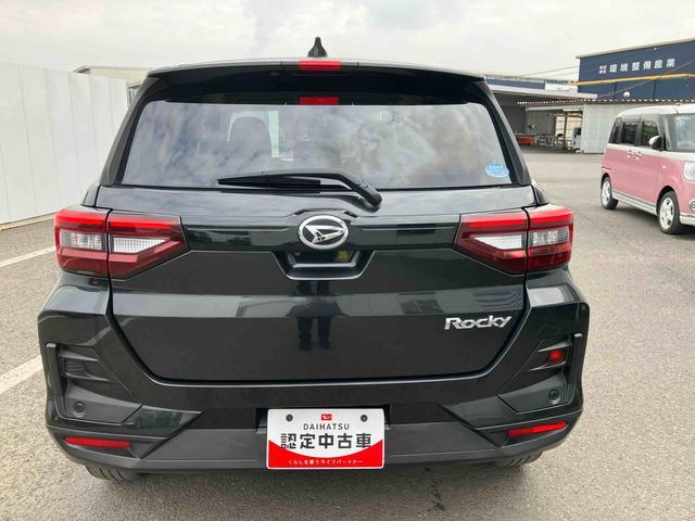 �ۏ؊��Ԃ́A�[�ԓ����R�����ԁE���s�����R��L���܂łł��̂ŁA�����S���Ă��w��������蒸���܂��B