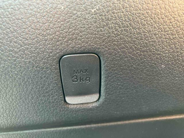 ハイゼットトラック スタンダード　ゴードンミラー　フェイスキッド付き　走行距離無制限１２ヶ月保証付き　ＰＳ　盗難防止装置　衝突回避支援ブレーキ機能　レーンキープ　禁煙　ＡＣ　エアバック　アイドリングＳ　Ｗエアバッグ　点検記録簿（28枚目）