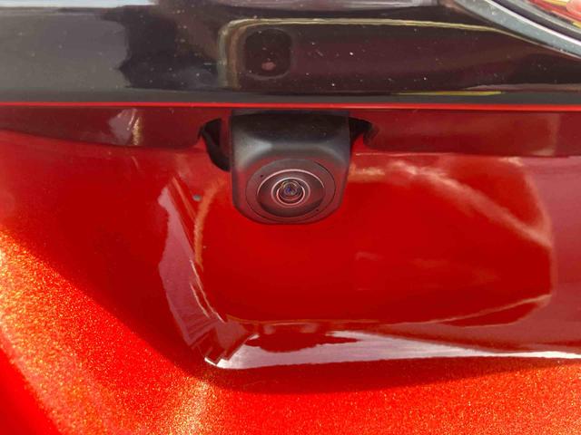 ���q�l�̃J�[���C�t�ɂ��������Ԃ𐔑�����葵���Ă���܂��B