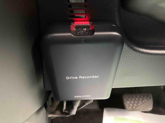 �Q�D�u����_�������v�͈��S���Ă���蒸���ׂɁA���[�Ԃ܂łɖ@��P�Q�J���_�������̓_�����s���܂��B