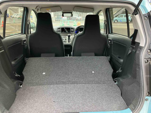 �y���j���c�Ƃ��Ă���܂��B���Ƒ�������Ă��z�����������B