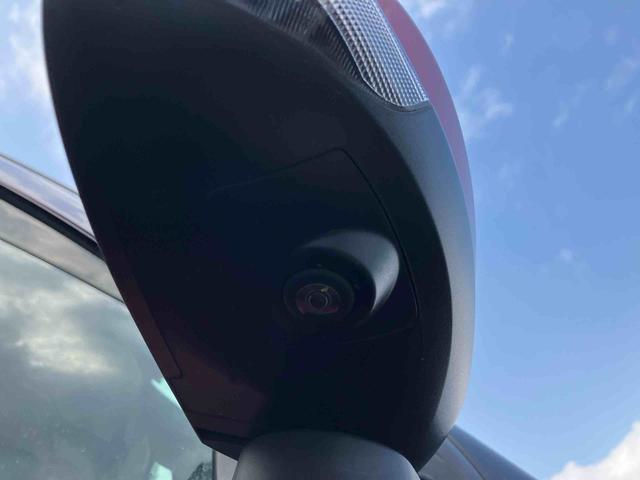 �Q�D�u����_�������v�͈��S���Ă���蒸���ׂɁA���[�Ԃ܂łɖ@��P�Q�J���_�������̓_�����s���܂��B