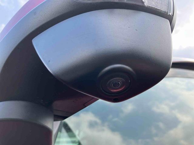 �R�D�u�F�蒆�ÎԃJ���e�v�́A���s������C�����ɉ����ăL�Y�E���݂̗L���E��Ԃ���Օi�̌����A�ߋ��̐����󋵂��킩��܂��B