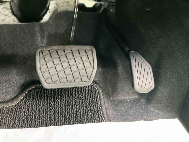 �y���j���c�Ƃ��Ă���܂��B���Ƒ�������Ă��z�����������B