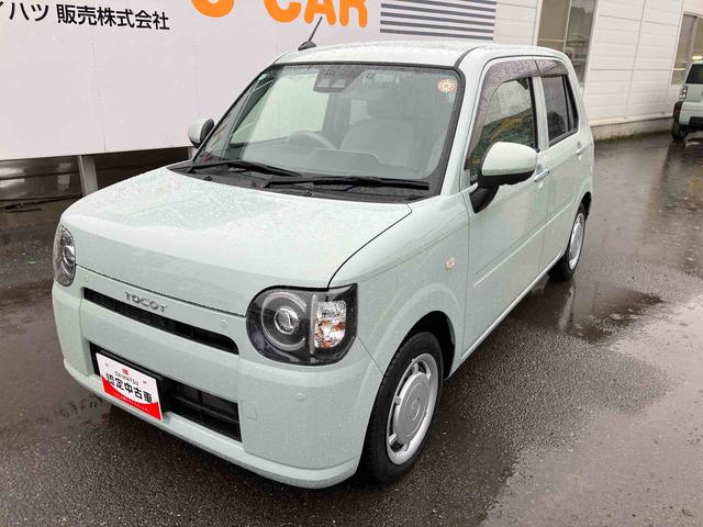 �ۏ؊��Ԃ́A�[�ԓ����R�����ԁE���s�����R��L���܂łł��̂ŁA�����S���Ă��w��������蒸���܂��B