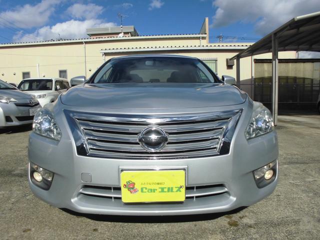 �傫�ȏ��݂��قڂȂ��A�L���C�ȂP��ł��I