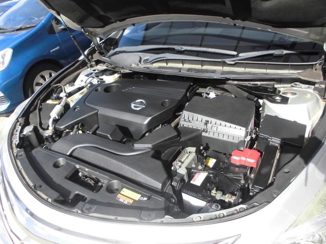 �C�����i�V�́A�ƂĂ����K���s�c�C���J���G���W���ł��I