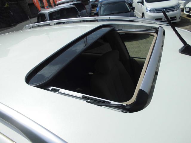 �T�����[�t�t���ł�