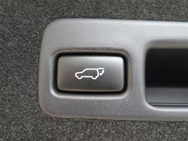 ハリアー プレミアム 衝突被害軽減システム メモリーナビ フルセグ バックカメラ ETC ドラレコ フルエアロ LEDヘッドランプ スマートキー(14枚目)