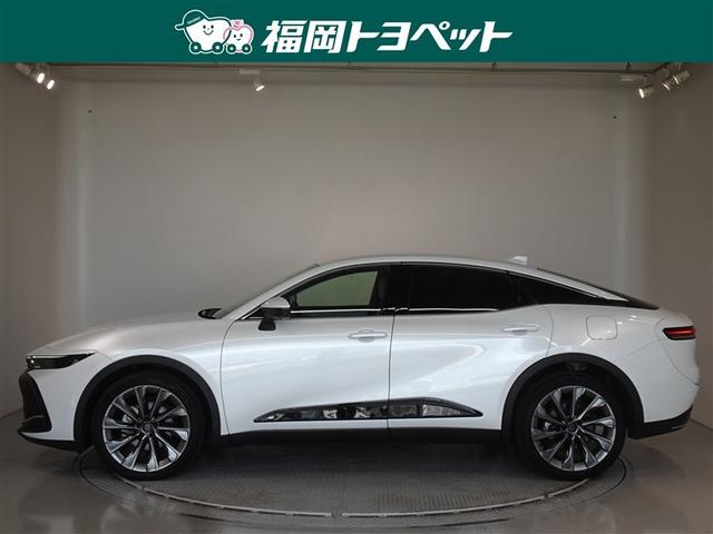 ���s�^�̃N���E���n�C�u���b�h�N���X�I�[�o�[�f�@�A�h�o���X�h���U�[�p�b�P�[�W�����ׂ��܂����B