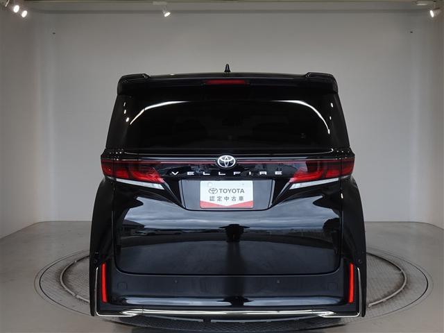 �c�J���̃o�b�N�h�A�ł��A�J�̓����G��ɂ����ł���B