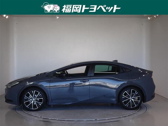 ���s�^�̃v���E�X�@�f�����ׂ��܂����B