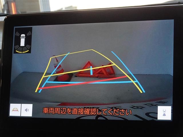 �o�b�N�K�C�h���j�^�[�𑕔����Ă��܂��A�Ԍɓ�������N���N�ł��B