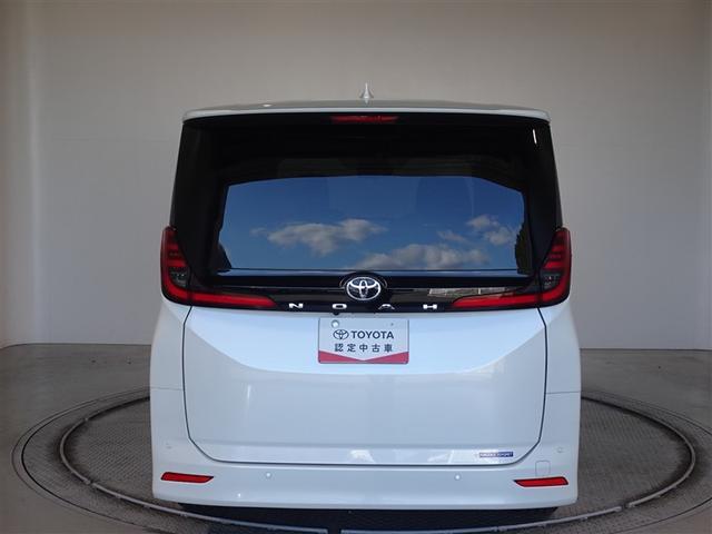 �c�J���̃o�b�N�h�A�ł��A�J�̓����G��ɂ����ł���B